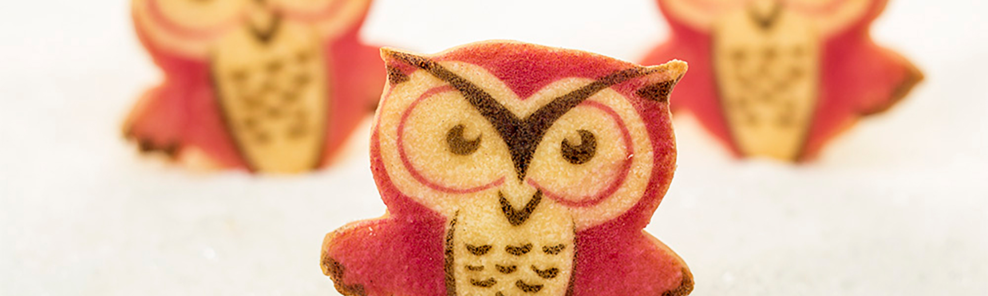 Litte Rae's Bakery angry owl shortbread cookie