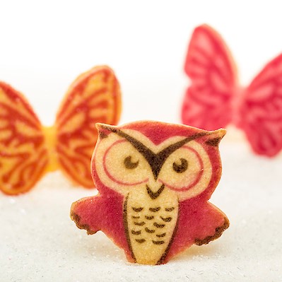 Little Rae's Angry Owls and Butterflies decorated shortbread